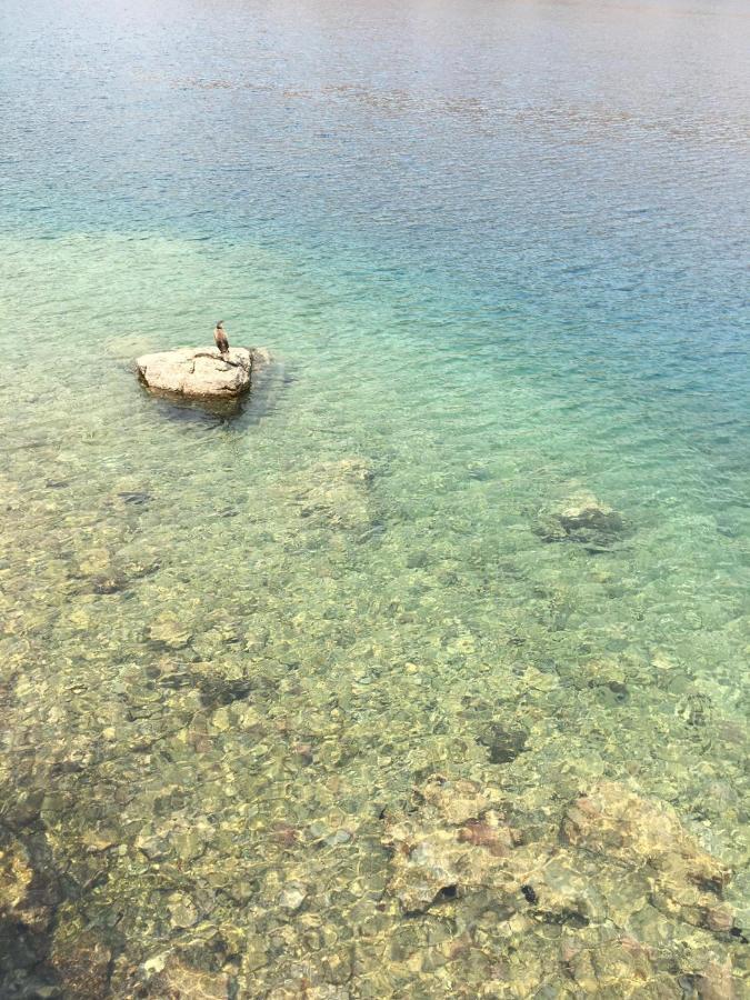 Symi . Villa Calme エクステリア 写真
